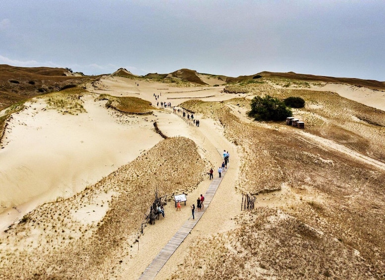 From Klaipeda: Curonian Spit Private Day Tour 1