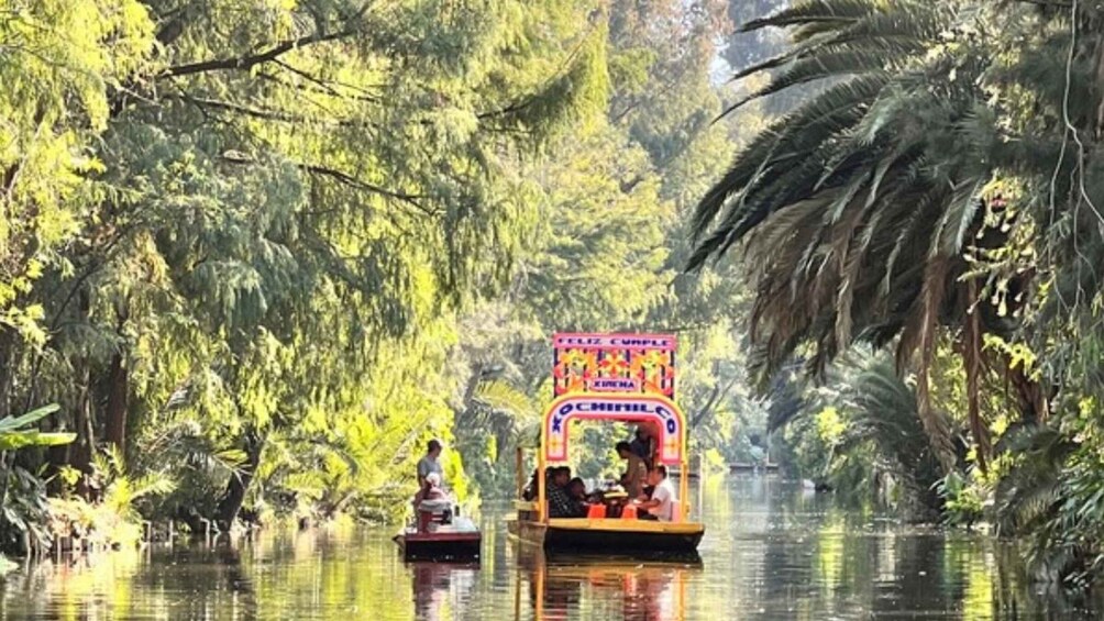 Picture 10 for Activity Music and Tequila in Xochimilco, plus a visit to Coyoacán and CU 4
