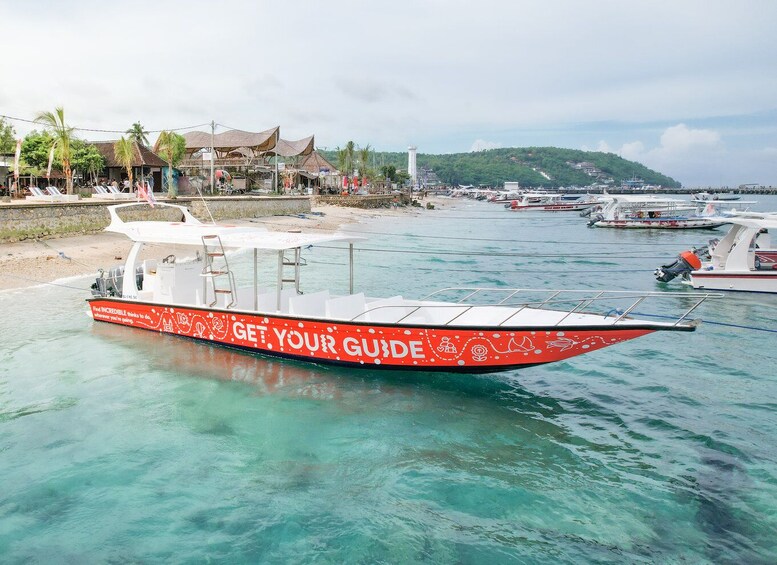 Picture 3 for Activity From Ubud: Guided Boat Manta Snorkeling & Kelingking Beach 3
