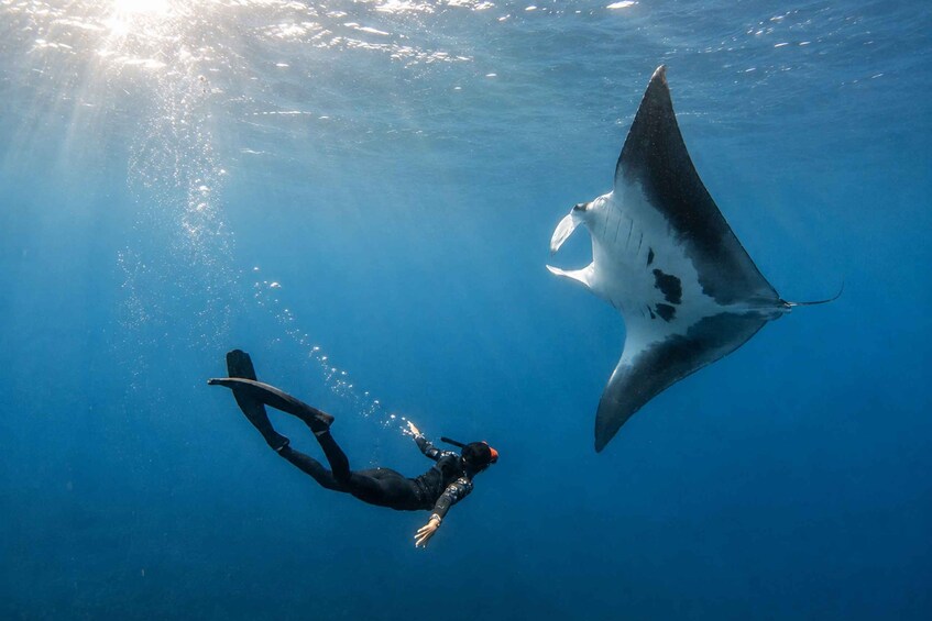 From Ubud: Guided Boat Manta Snorkeling & Kelingking Beach 1