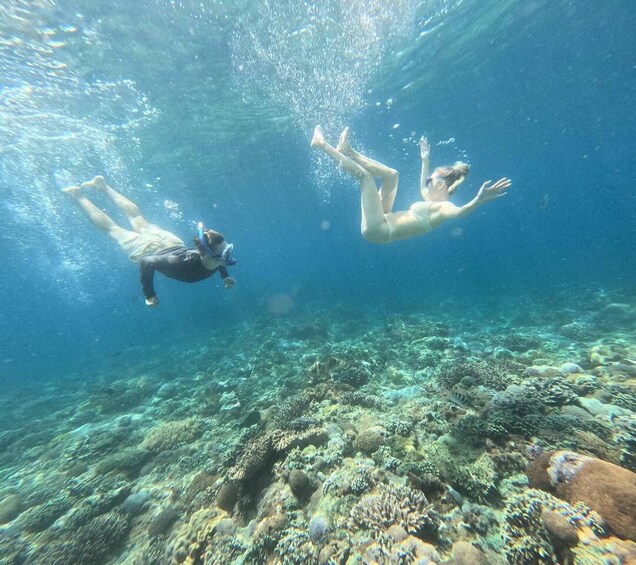 Picture 23 for Activity From Ubud: Guided Boat Manta Snorkeling & Kelingking Beach 5