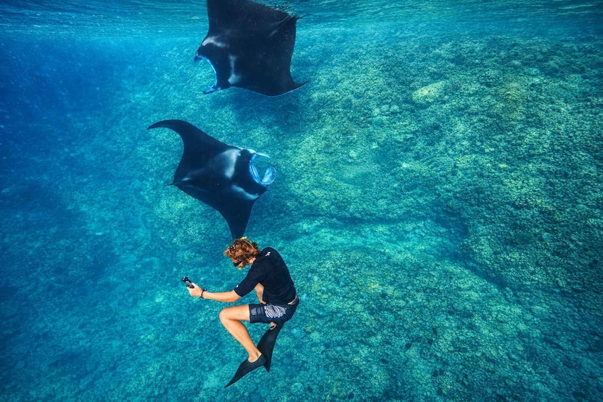From Ubud: Guided Boat Manta Snorkeling & Kelingking Beach 1