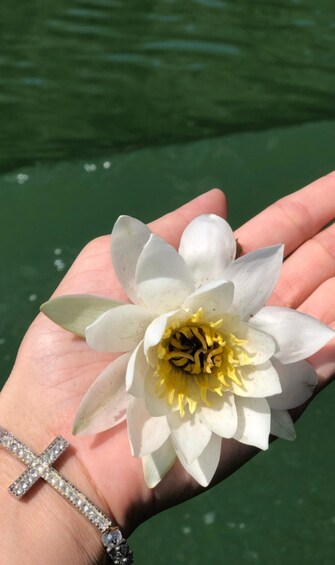 Picture 5 for Activity Skadar Lake: Scenic Boat Cruise with Swimming Stops 5