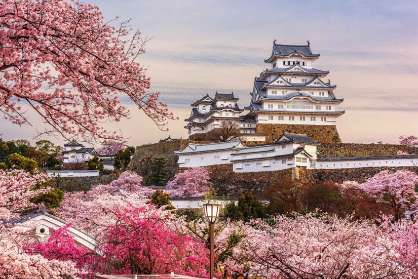 Picture 1 for Activity Himeji, Kobe & Mount Shosha Private Day Tour 1
