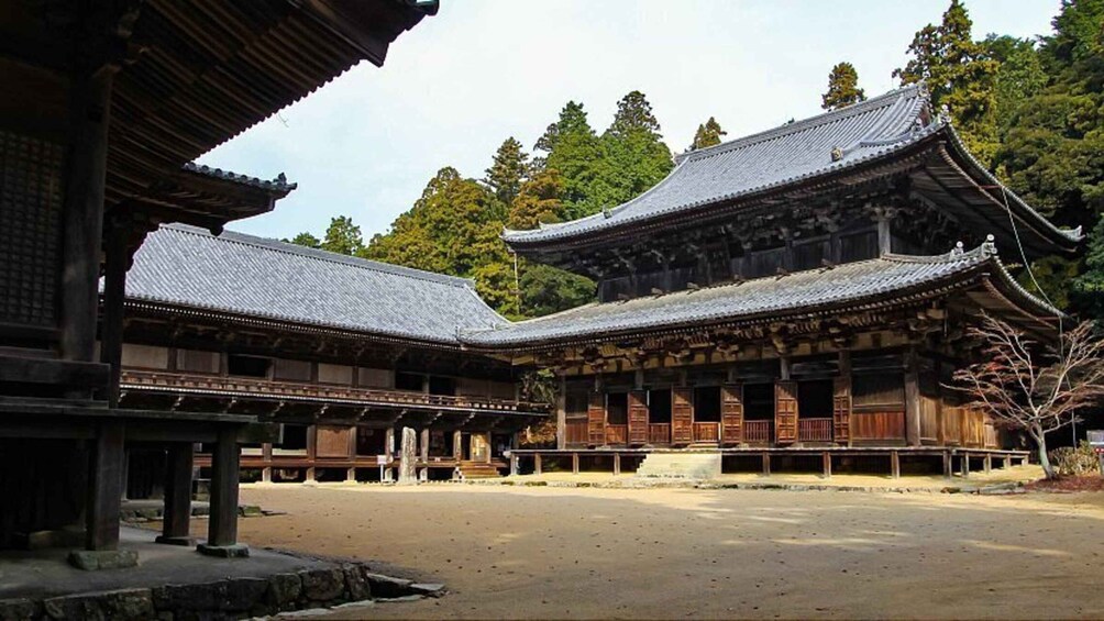 Picture 2 for Activity Himeji, Kobe & Mount Shosha Private Day Tour 2