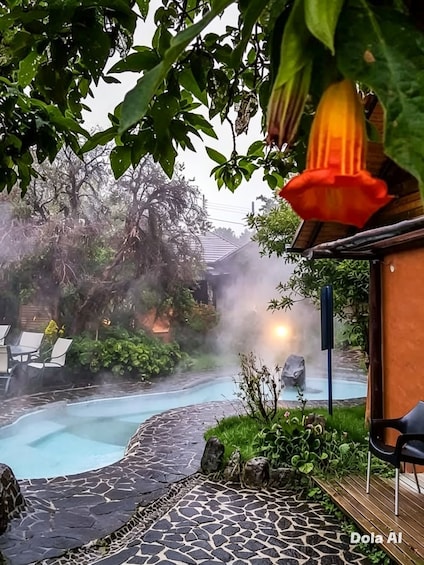 Picture 1 for Activity Quito: Spa at Termas de Papallacta, Polylepis Forest, Lagoon, and Snow-Capped Mountain 5