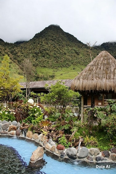 Picture 3 for Activity Quito: Spa at Termas de Papallacta, Polylepis Forest, Lagoon, and Snow-Capped Mountain 2