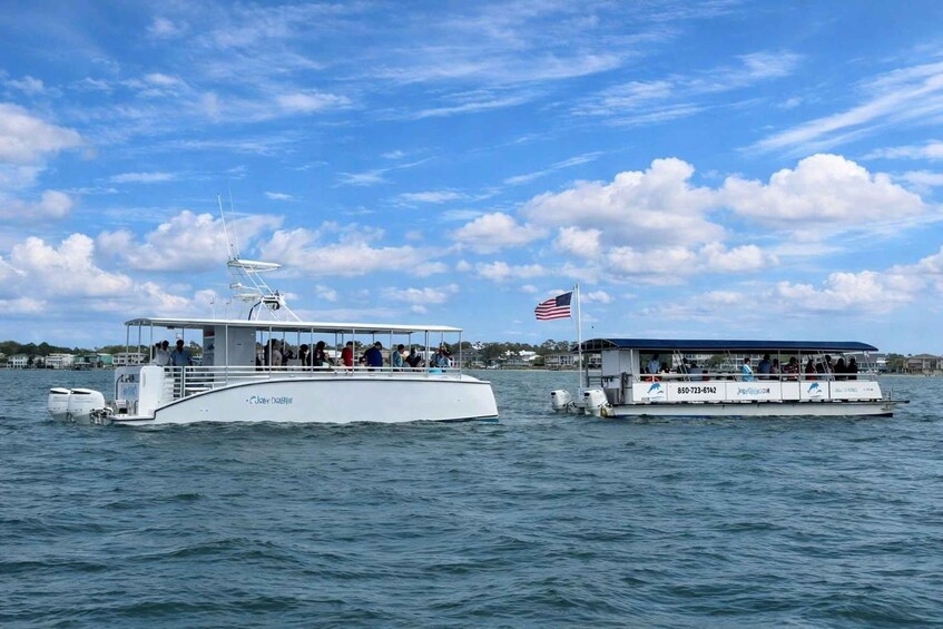 Picture 3 for Activity Pensacola Beach: Dolphin Watching Cruise and Scenic Bay Tour 3