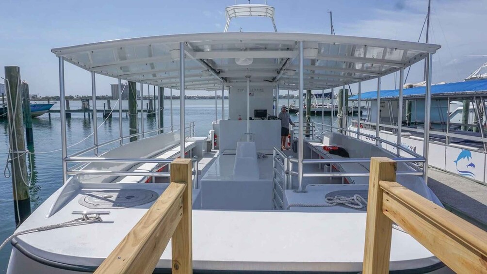 Picture 1 for Activity Pensacola Beach: Dolphin Watching Cruise and Scenic Bay Tour 5