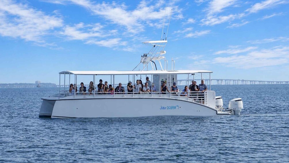 Pensacola Beach: Dolphin Watching Cruise and Scenic Bay Tour 1