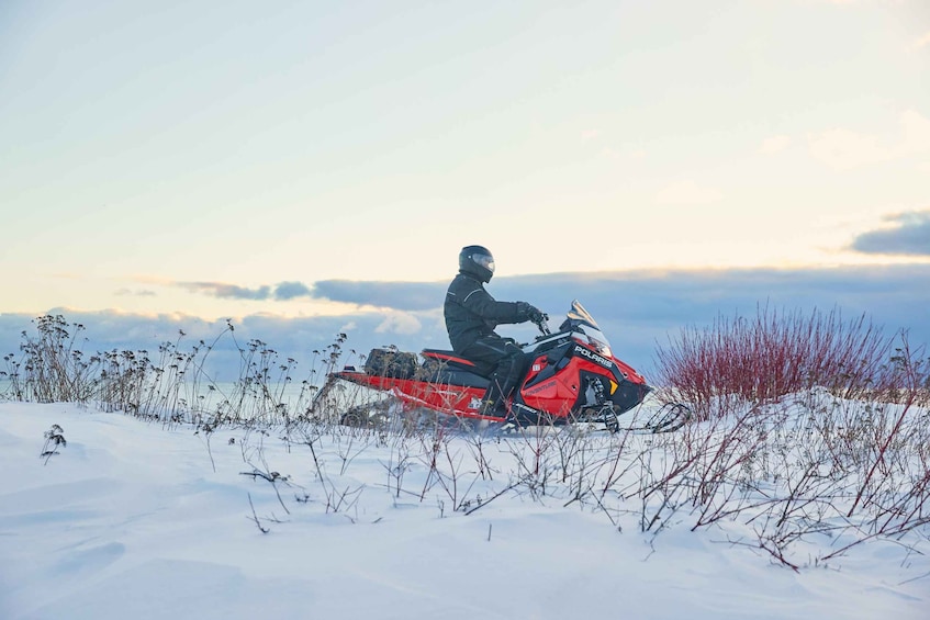 Picture 3 for Activity Black Hills: Self-Guided Snowmobile Adventure 3