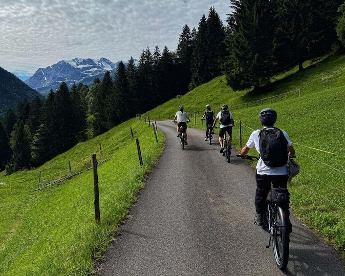 Picture 8 for Activity Griesalp UNESCO alpine valley E-bike tour from Interlaken 2