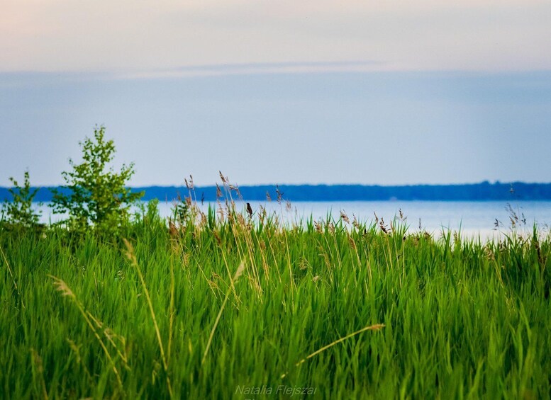 Picture 8 for Activity Oulu: Hietasaari Family Nature Walk with Picnic 2