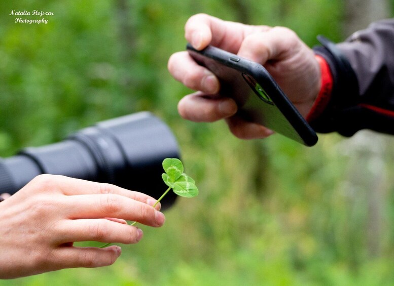 Oulu: Hietasaari Family Nature Walk with Picnic 1