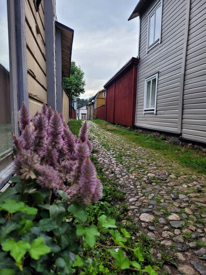 Picture 2 for Activity Porvoo: Old Town Nordic Walking Tour with Local Guide 3