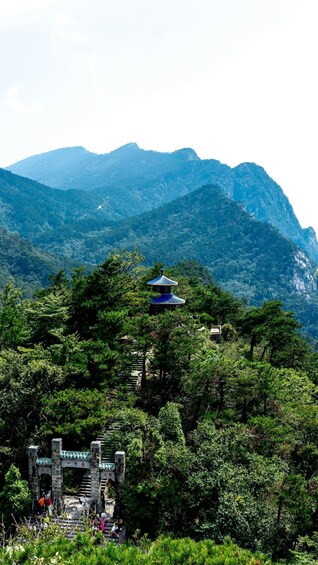 Picture 9 for Activity Huangshan: Jiuhua Mountain Day Tour with Transfers 4