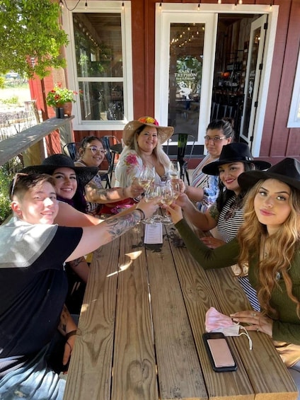 San Antonio: Hill Country Wine Tour & Fredericksburg Visit 1