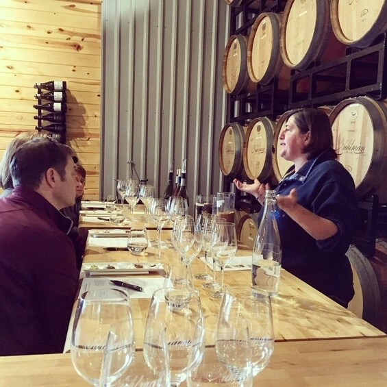 Picture 1 for Activity San Antonio: Hill Country Wine Tour & Fredericksburg Visit 3