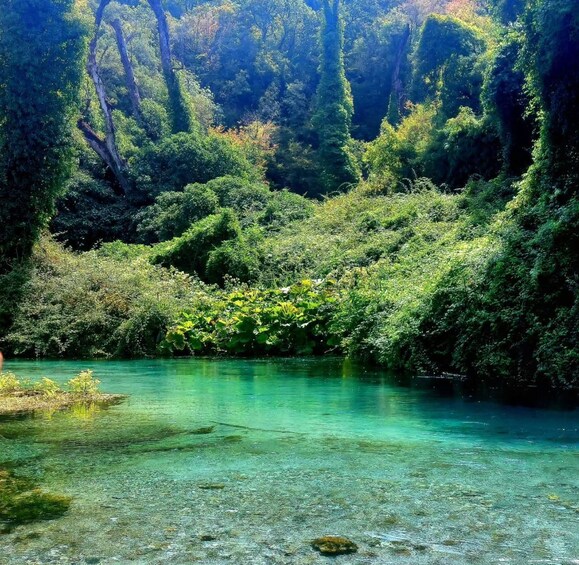 Picture 16 for Activity 7 Days in South Albania from Vlora - All-Inclusive Adventure 3