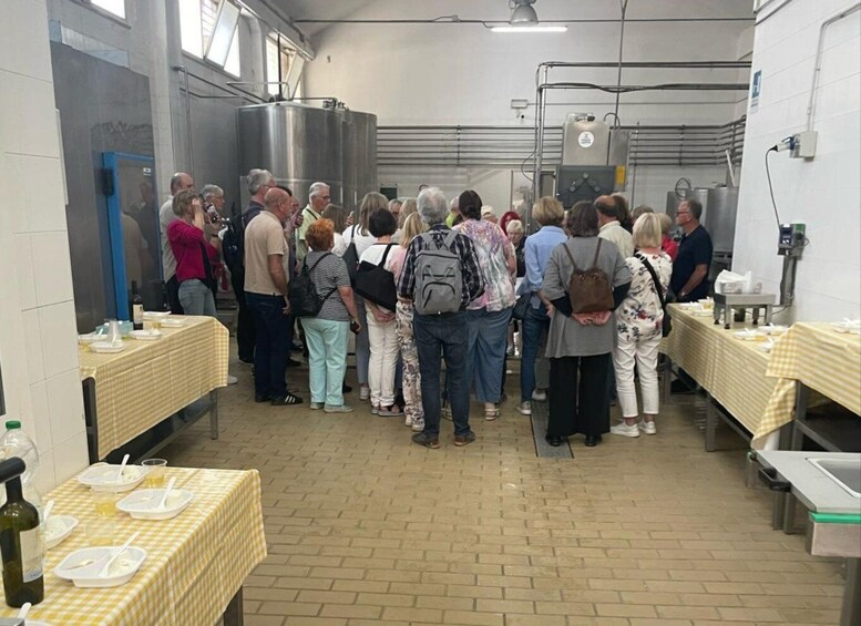 Picture 7 for Activity Mozzarella Making Show in Bari 4