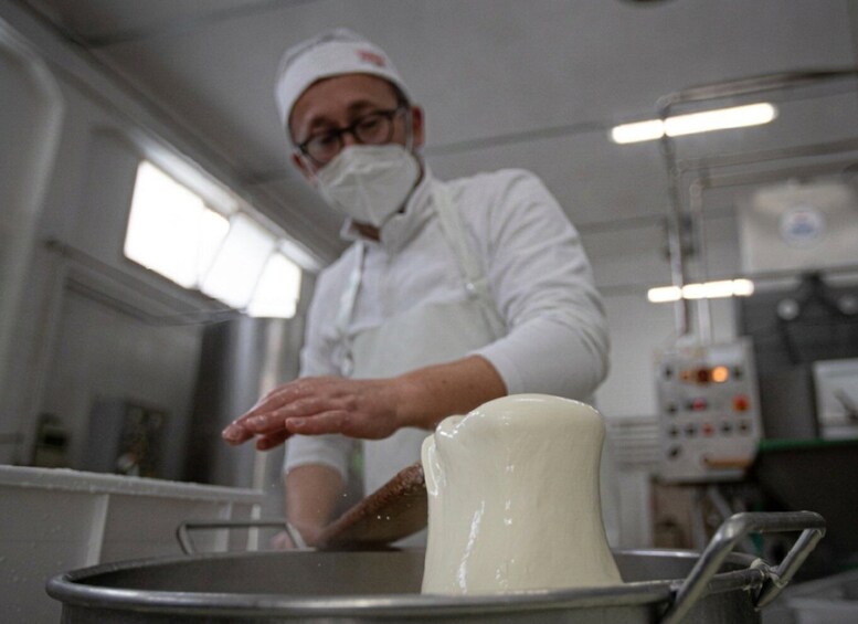 Mozzarella Making Show in Bari 1