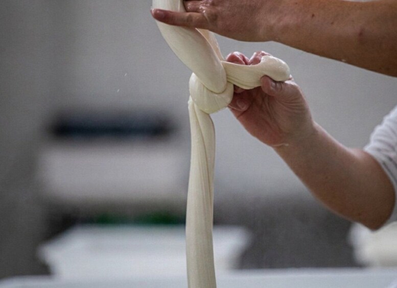 Picture 4 for Activity Mozzarella Making Show in Bari 5
