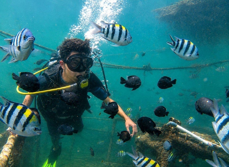Nusa Dua: Scuba Diving and Paragliding Adventure Combo 1