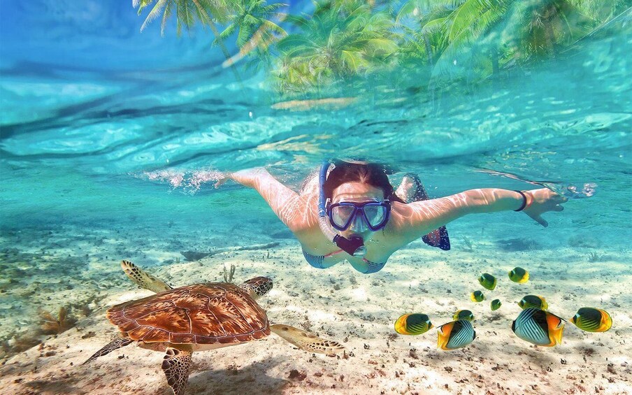 Bali: Blue Lagoon Snorkeling Experience in Padang Bai 1