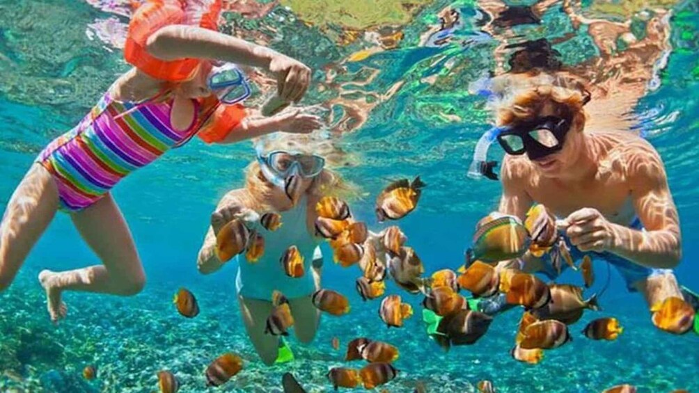 Picture 2 for Activity Bali: Blue Lagoon Snorkeling Experience in Padang Bai 3