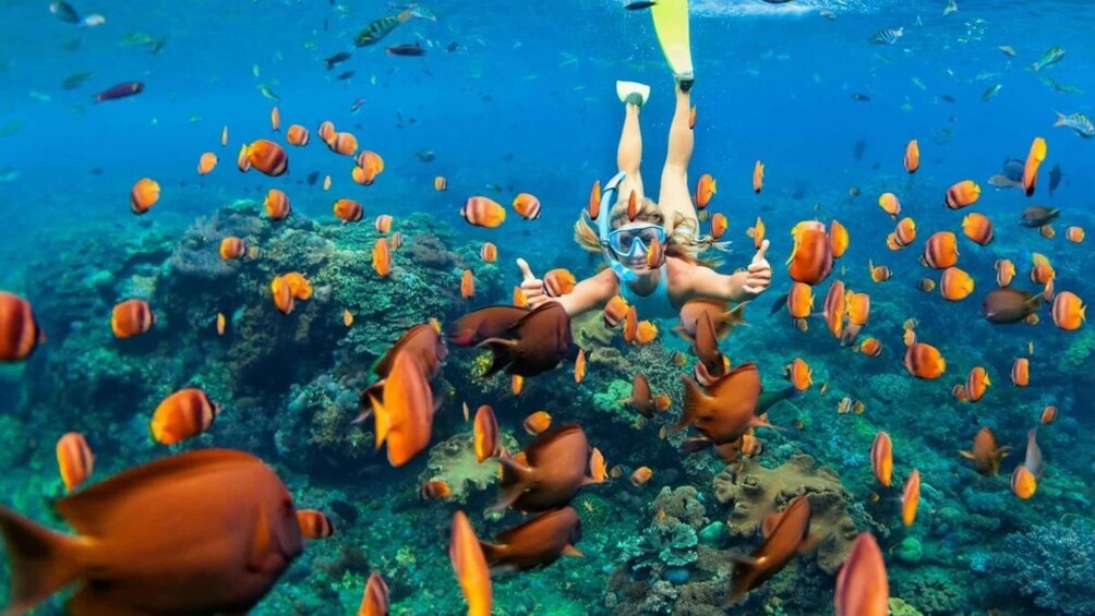 Picture 1 for Activity Bali: Blue Lagoon Snorkeling Experience in Padang Bai 2