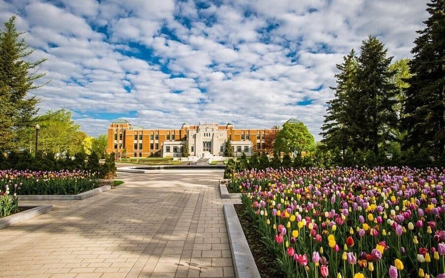 A campus with a central building, a paved walkway, and a field of tulips. 3