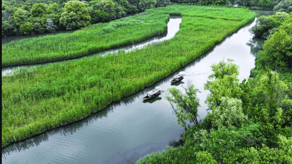 Picture 4 for Activity Hangzhou: Xixi Fisherman Tour – Heritage Fishing & Farming 3