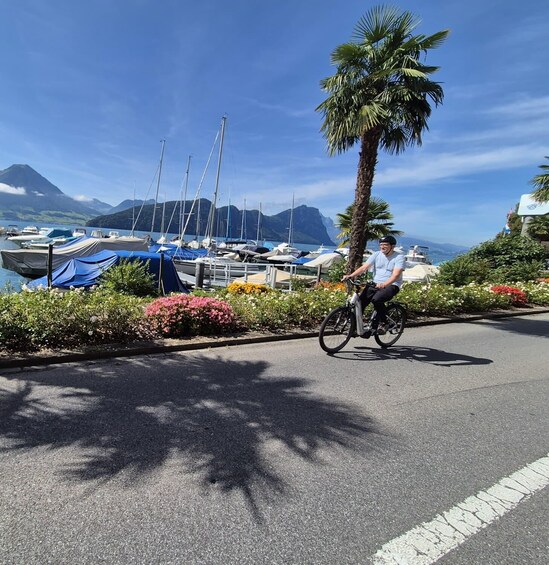 Lucerne: Private Lake Lucerne Bike Tour with Boat Ride 1