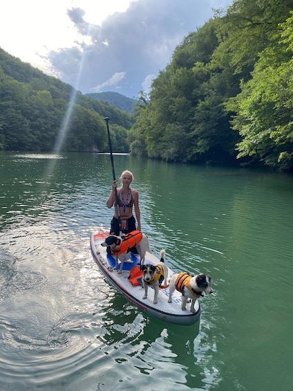Picture 5 for Activity Lake Predil: Half-Day Stand-Up Paddleboarding 3
