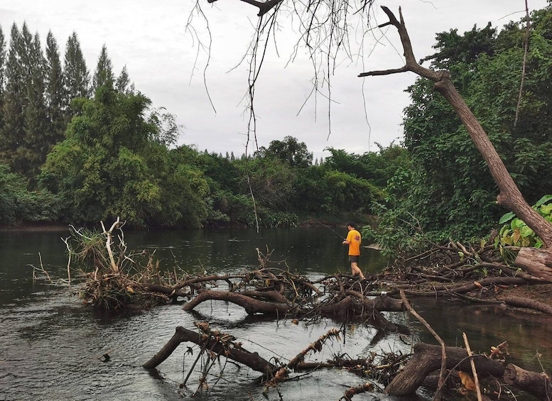 A person fishing by a river surrounded by dense forest. 4