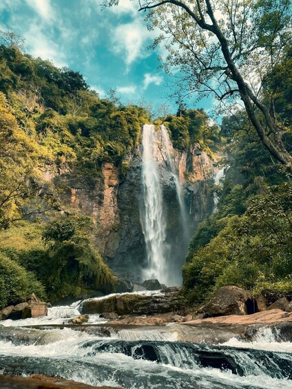 Una cascada se precipita por un risco rocoso, rodeado de abundante vegetación. 3