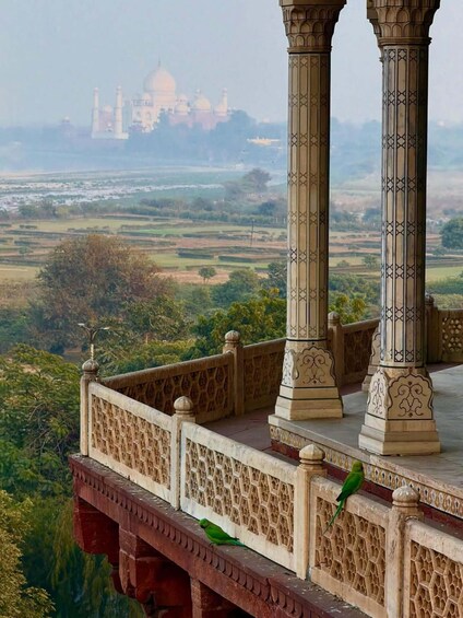En grön papegoja sitter på en balkong med utsmyckade kolonner, och i bakgrunden syns Taj Mahal på avstånd. 3