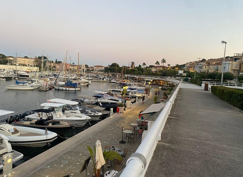 Picture 7 for Activity Nice: Menton, Monaco & Cap Ferrat Private Luxury Tour 3