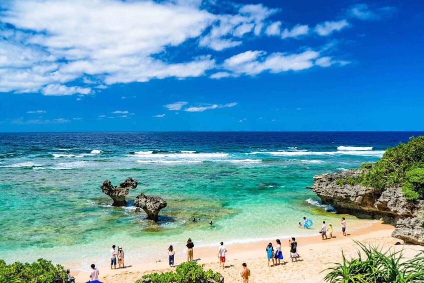 Picture 9 for Activity Okinawa Summer Coast Experience: Churaumi, Kouri & Manzamo 5