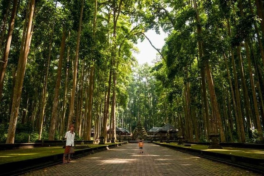 Picture 6 for Activity Bali: Taman Beji Griya, Taman Ayun & Monkey Forest Tour 4