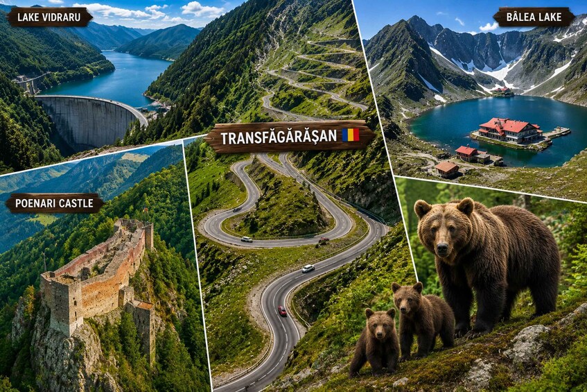From Brașov: Transfăgărășan Scenic Drive & Poenari Tour 1
