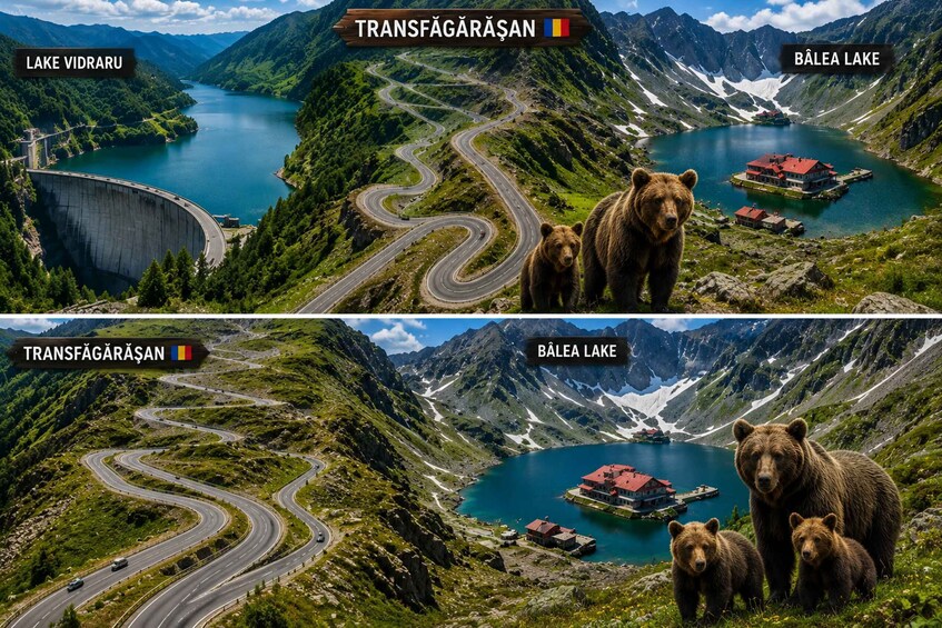 Picture 1 for Activity From Brașov: Transfăgărășan Scenic Drive & Poenari Tour 2