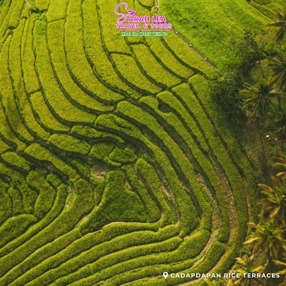 Bohol: Nature Discovery & Coastal Adventure Experience 1