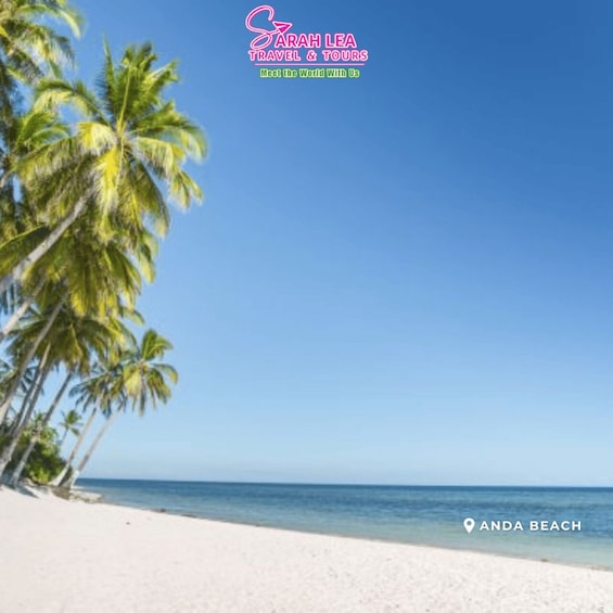 Picture 3 for Activity Bohol: Nature Discovery & Coastal Adventure Experience 2
