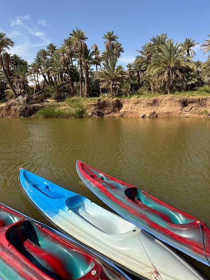 Picture 21 for Activity Bechar & Taghit: 4-Day Desert All-Inclusive, 4x4 Safari 2