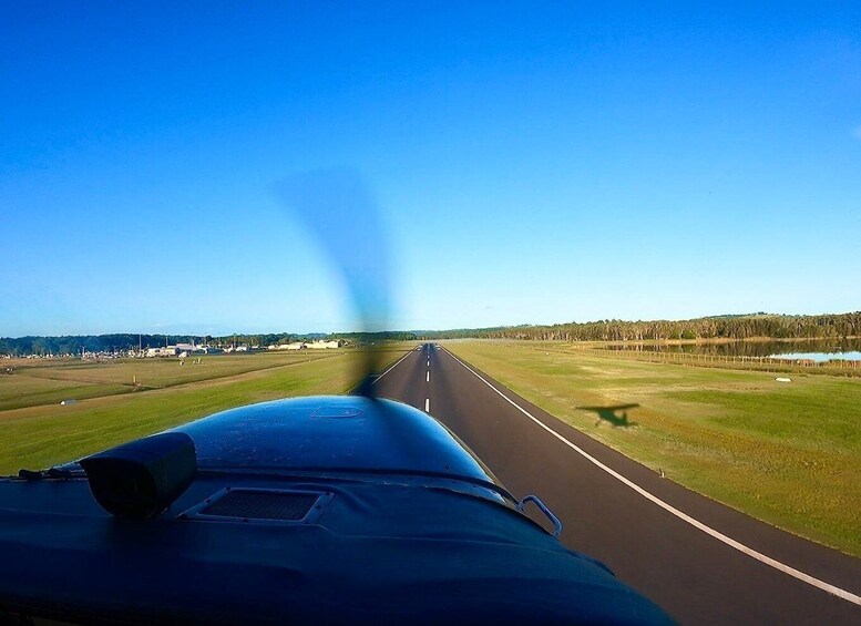 Picture 1 for Activity Ballina Byron: Aerial Whale Watching Flight 5