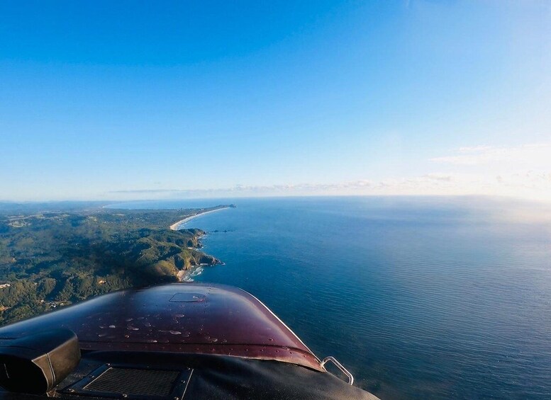 Picture 5 for Activity Ballina Byron: Aerial Whale Watching Flight 4