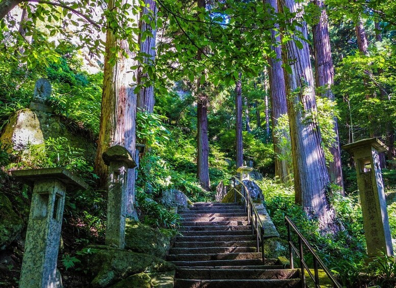 A forested area with stone staircases and traditional Japanese torii gates. 4