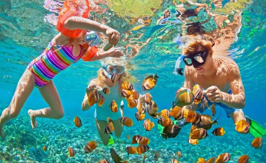 Picture 2 for Activity Zanzibar: Mnemba Snorkeling, Spice Tour & Salaam Sea Turtles 5