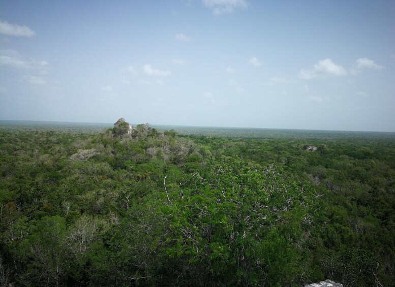 Picture 6 for Activity Calakmul Full-Day Expedition from Playa del Carmen 3